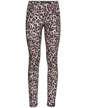 Fayn Sports Hose - Schwarz