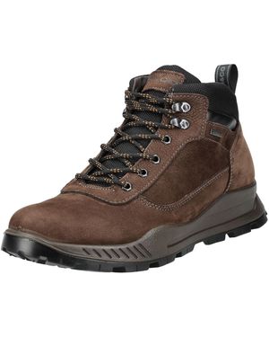 Igi&co Schnürboots - Braun