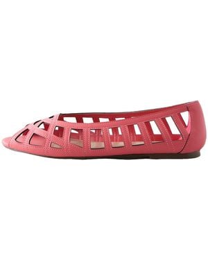 Next Slipper - Rot