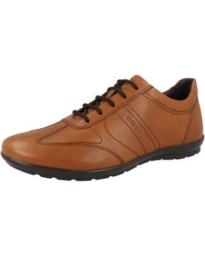 Geox Sportlicher Schnürschuh Uomo Symbol B - Braun