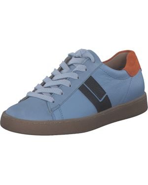 Paul Green Schnürschuhe '5464' - Blau