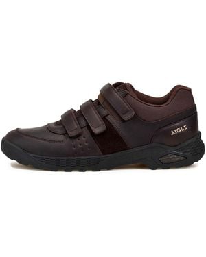 Aigle Sneaker Dolik - Braun