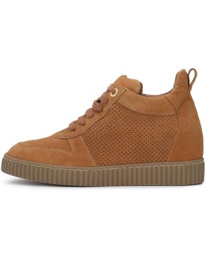 Kazar Sneaker - Braun