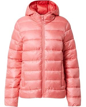 Champion Steppjacke (1-St) - Pink
