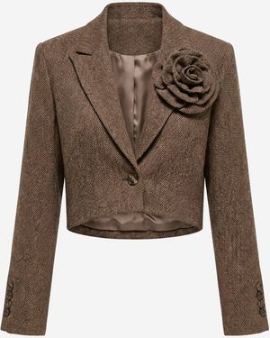 Ombre Blazer - Braun