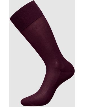 Zd - Zero Defects Socken Mercerized Cotton Socks - Lila