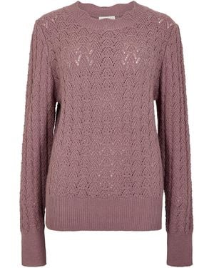 Apricot Scallop Pointelle Knit Jumper - Lila