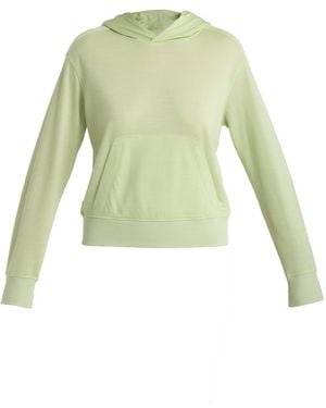 Icebreaker Sweatshirt Crush Ii - Grün