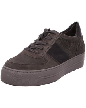 Paul Green Sneaker Low Sneaker Damen 5230-116 Rauleder - Braun
