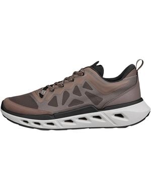 Ecco Sneaker Biom 720 - Braun