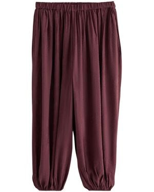Next Hose - Lila