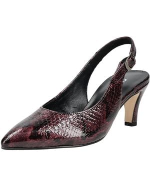 Gabor Pumps - Braun