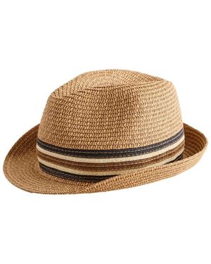 Next Hut Fedora - Natur