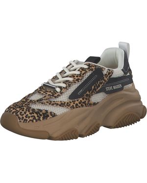 Steve Madden Sneaker 'Posessionl' - Braun
