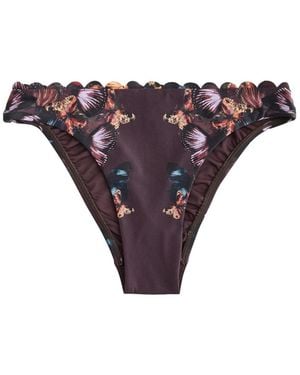 Ted Baker Bikinihose - Lila