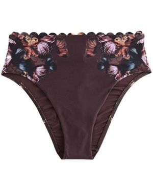 Ted Baker Bikinihose - Lila