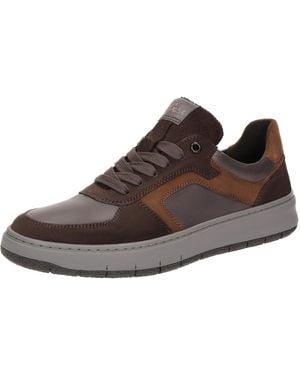Sioux Sneaker Lorundos-700 - Braun
