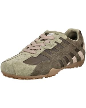 Geox Sneaker Snake - Braun