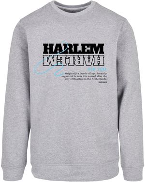 F4NT4STIC Sweatshirt Harlem - Grau