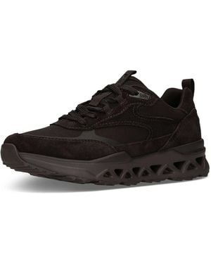 Salamander Sneaker - Schwarz