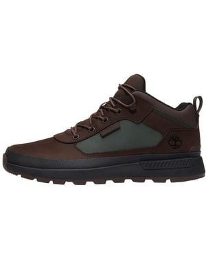 Timberland Sneaker Field Trekker - Braun
