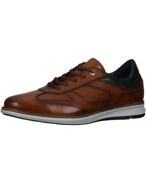 Lloyd Schnürschuh - Braun