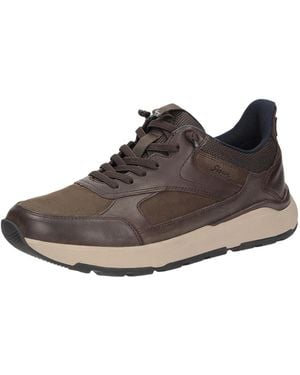 Sioux Sneaker Rogerlino-701-H - Braun