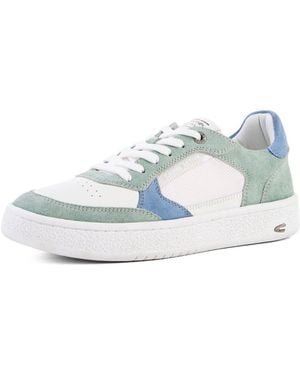 Camel Active Low Sneaker Mit Leder Mix - Blau