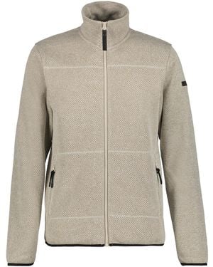 Icepeak Fleecejacke Agen - Grau