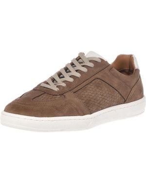 Baldinini Sneaker - Braun