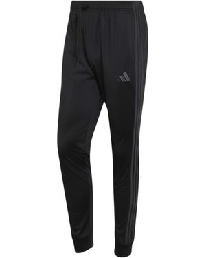adidas Sporthose Dayrdy - Schwarz