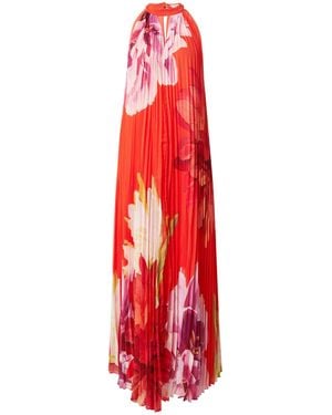 Ted Baker Kleid - Rot
