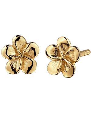 Elli Jewelry Ohrringe Frangipani - Mettallic
