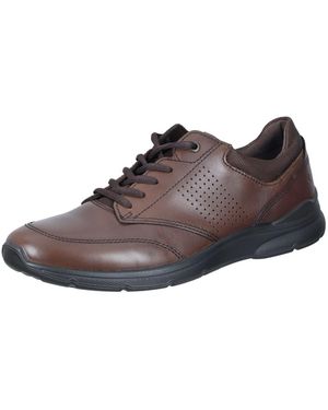Ecco Schnürschuh - Braun