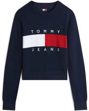Tommy Hilfiger Pullover - Blau