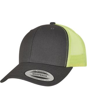 Flexfit Cap Retro - Grau