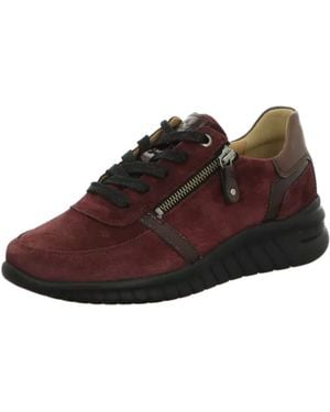 Hartjes Schnürschuh - Braun
