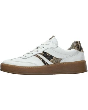 Gabor Sneaker - Mettallic