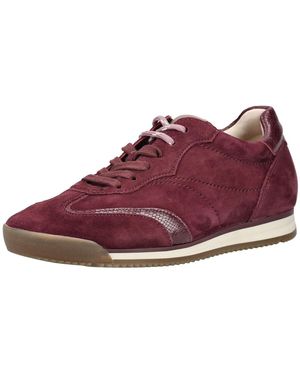 Gabor Sneaker - Lila