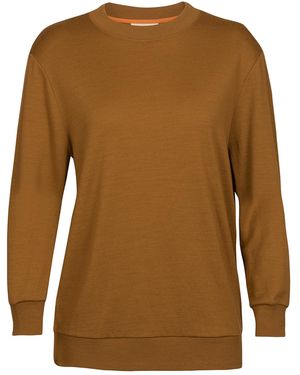 Icebreaker Sportsweatshirt Crush - Braun