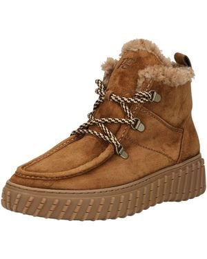 Paul Green Stiefelette - Braun