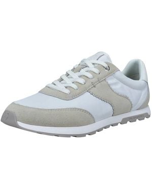 Salamander Sneaker - Grau
