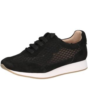 Peter Kaiser Sneaker - Schwarz