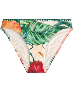 Next Bikinihose - Grün