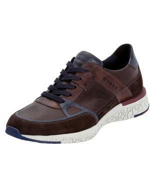 Lloyd Sneaker Benno - Braun