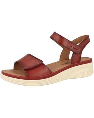 Josef Seibel Sandale Sevran 01 - Braun