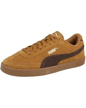 PUMA Sneaker Club Ii Era Suede - Braun