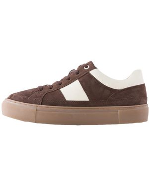 Next Sneaker - Braun