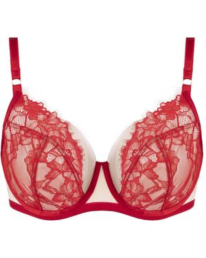 Vivience Bh 1084 - Rot