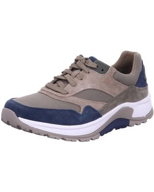 Gabor Sneaker Low - Grau